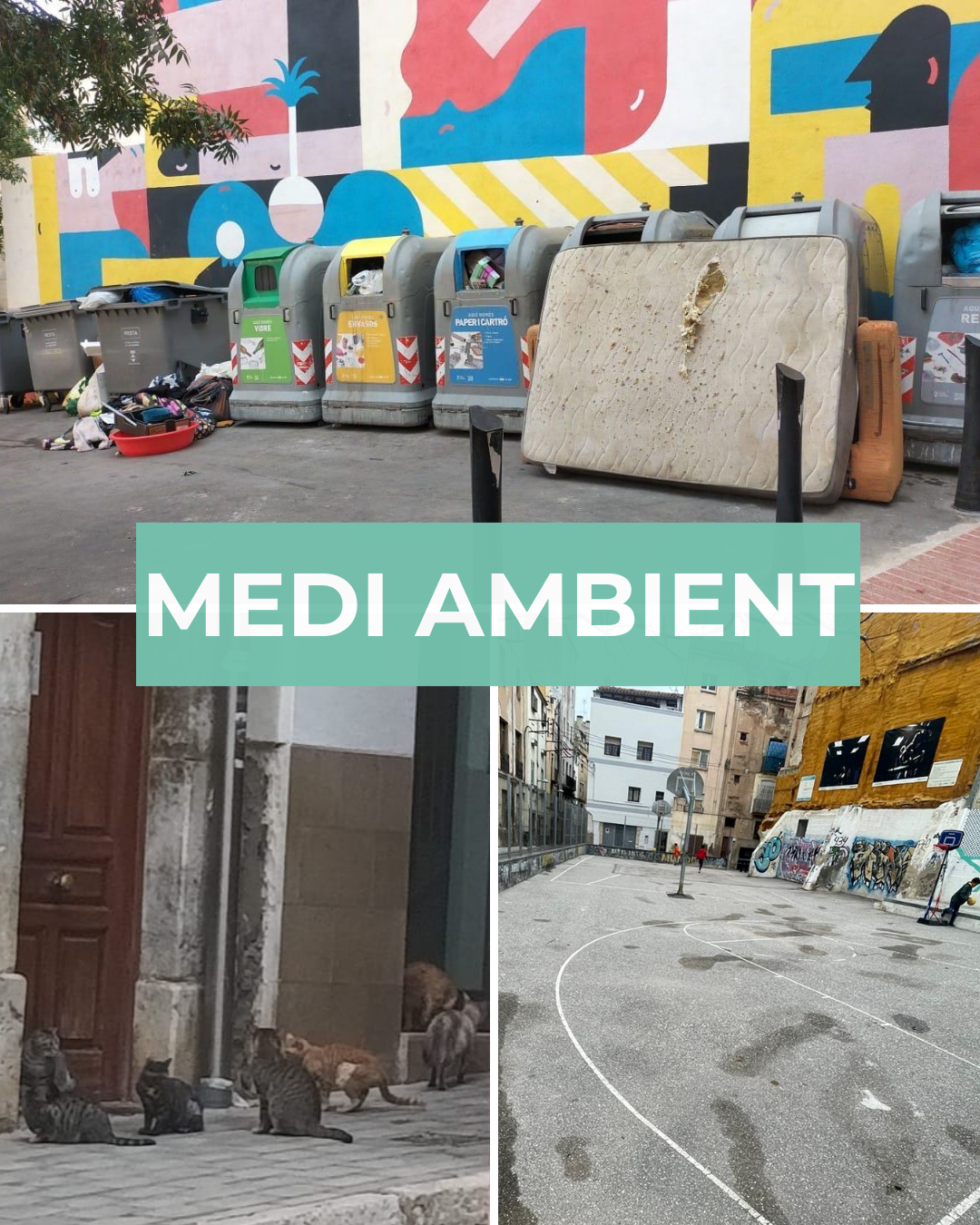 Medi Ambient al Barri: Necessitem solucions! 🌿