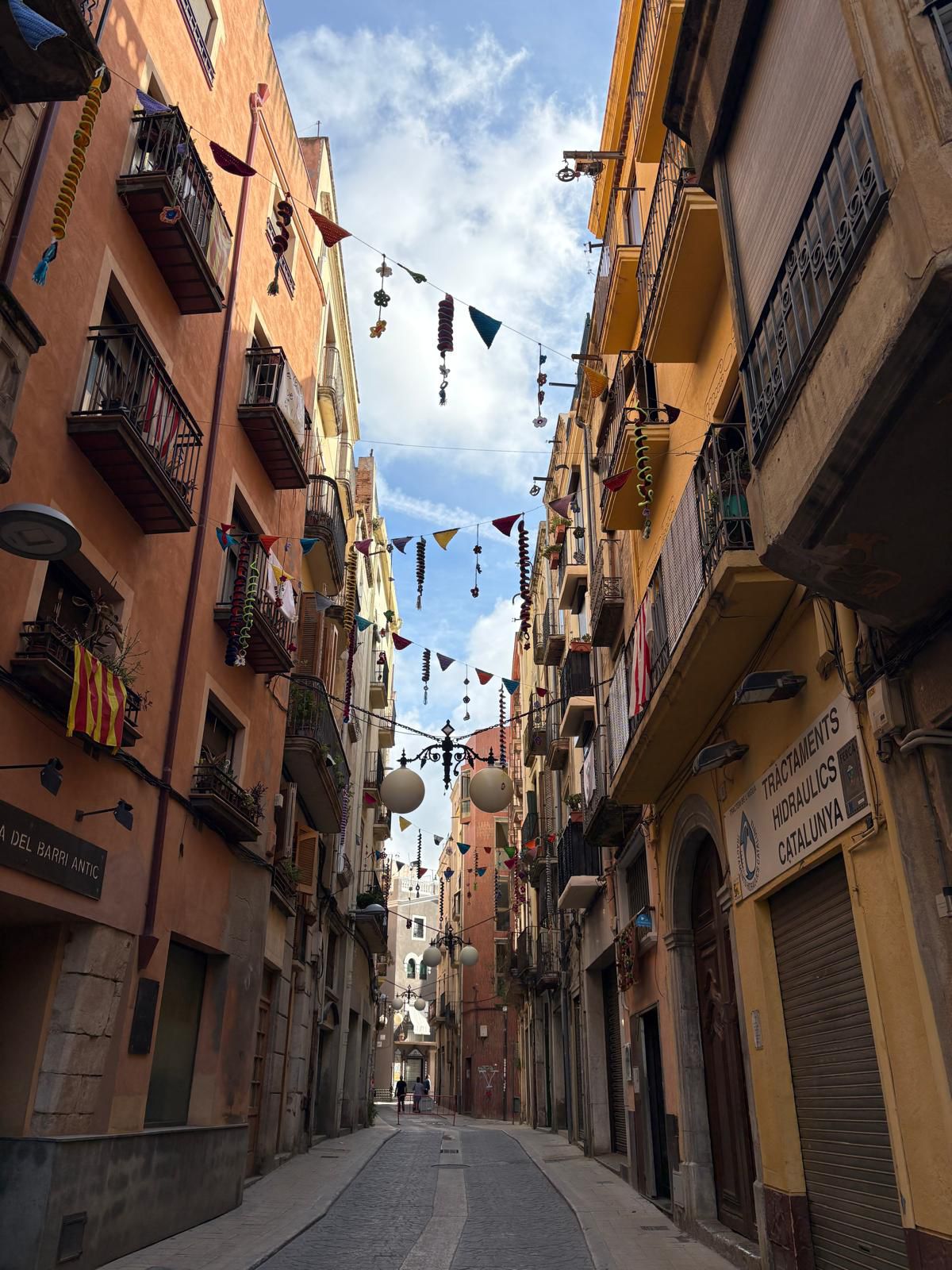 Les Teixidores de Vilaniu participen al concurs Barri amb Flor per guarnir el carrer de la Carnisseria